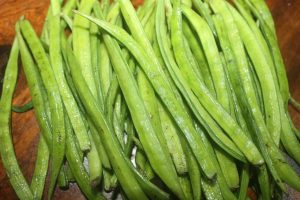 Guar Cluster Bean Guar Resources