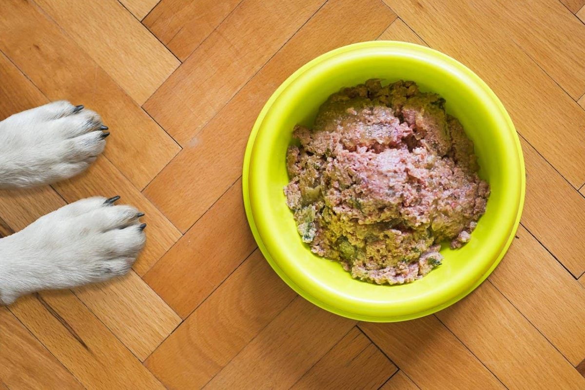 Guar Gum Powder Pet Food Guar Gum Powder Pet Food