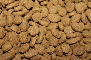 Kibble Dog Food And Guar Gum